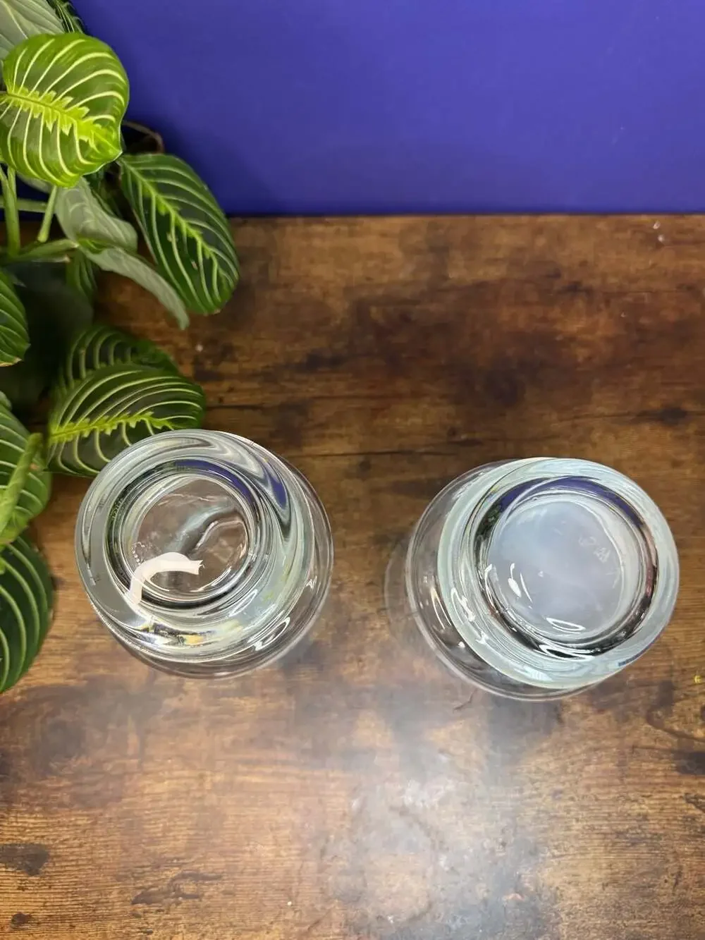 Vintage 1988 CHD Glass Canister Jars with Kitty Cat and Rose Design (Set of 2)